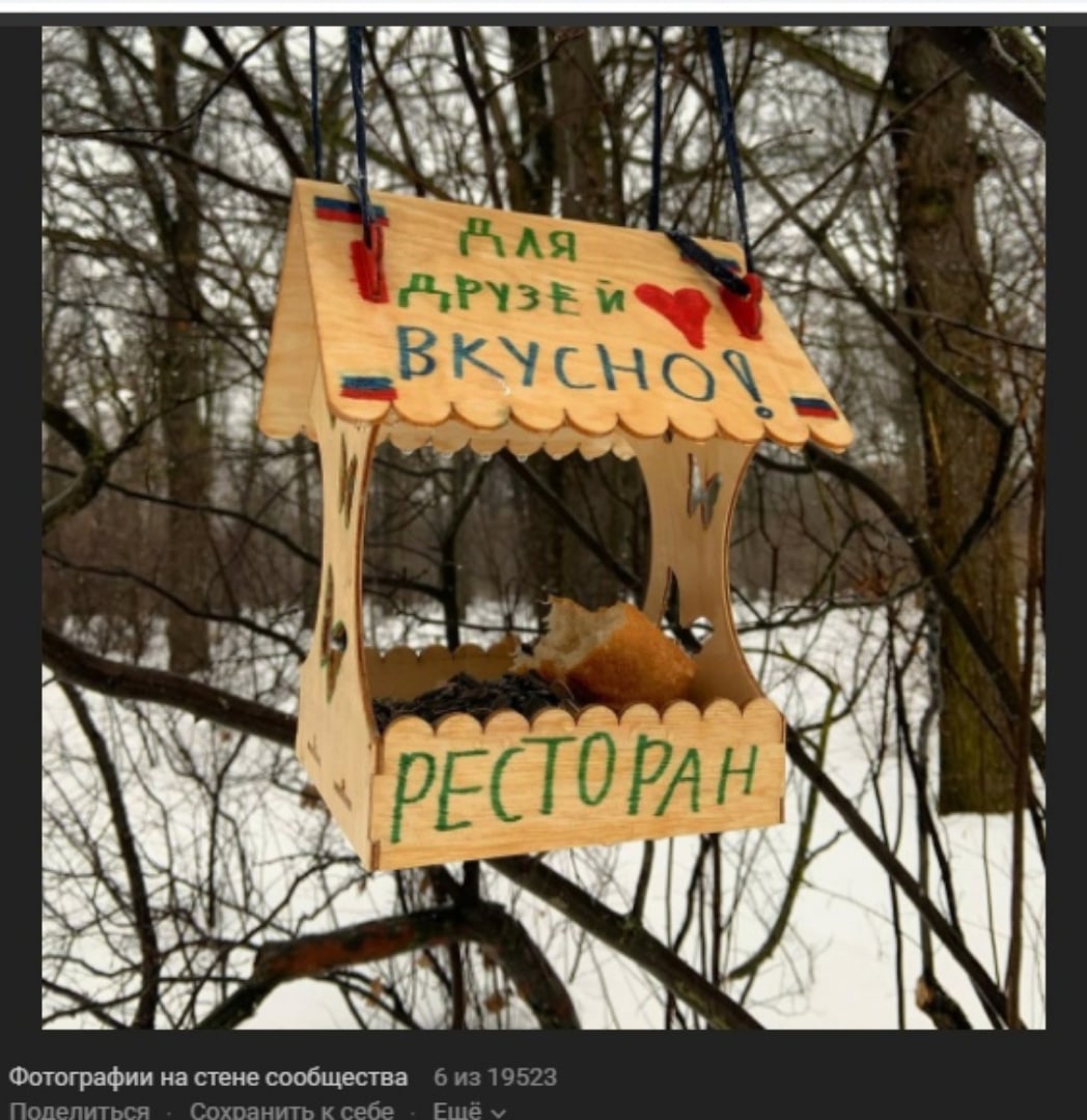 Фото дня: птичий ресторан в Марфино