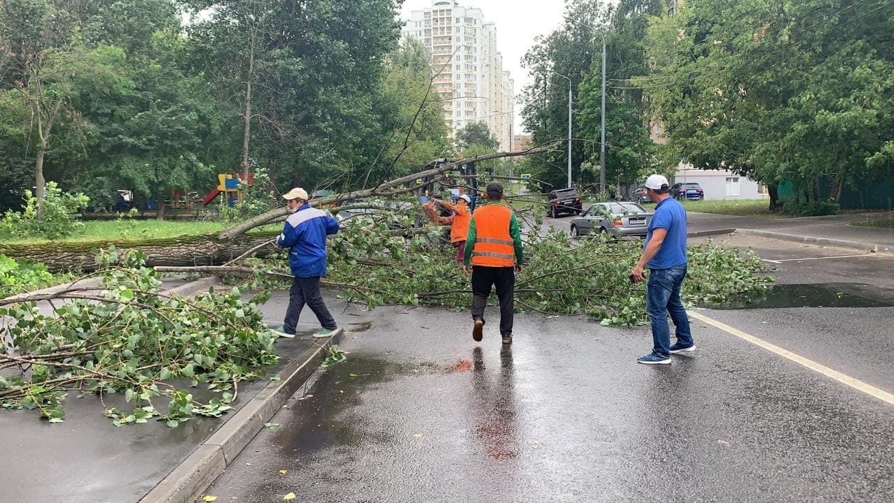 Фото: предоставлено управой района