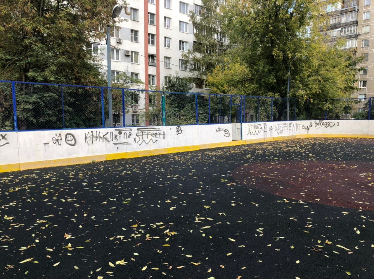 Хулиганы изрисовали хоккейную коробку на Академика Комарова